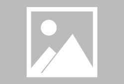 九游官网入口冲刺阶段布鲁克林篮网备战全明星赛；再遭质疑细节曝光；信心回归；年轻球员得到机会的简单介绍